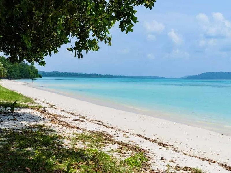 Clear shallow turquoise water and tropical coastline at Bharatpur Beach, Neil Island.