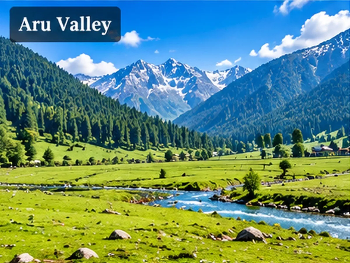 Wide view of Aru Valley's green meadows.